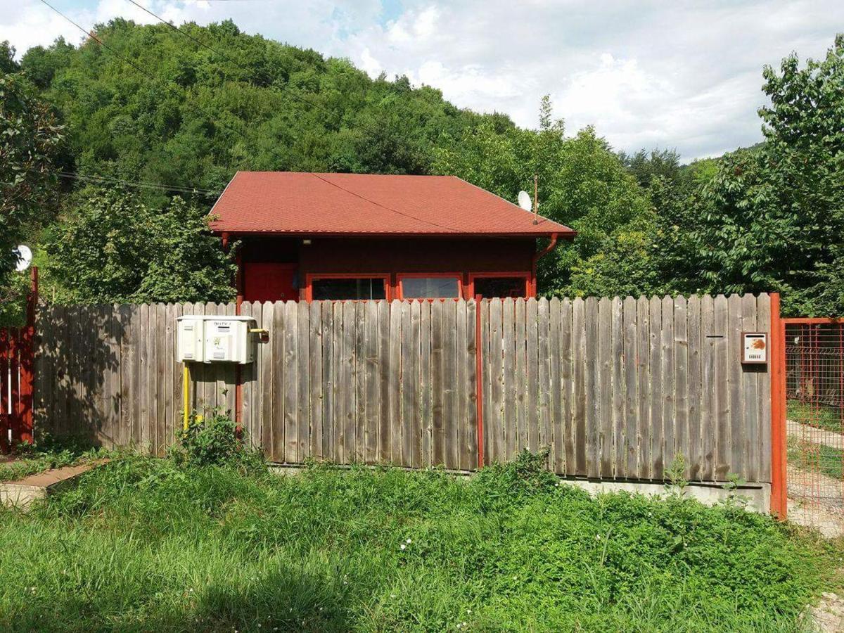 Canadian House Sarata-Monteoru Exterior photo
