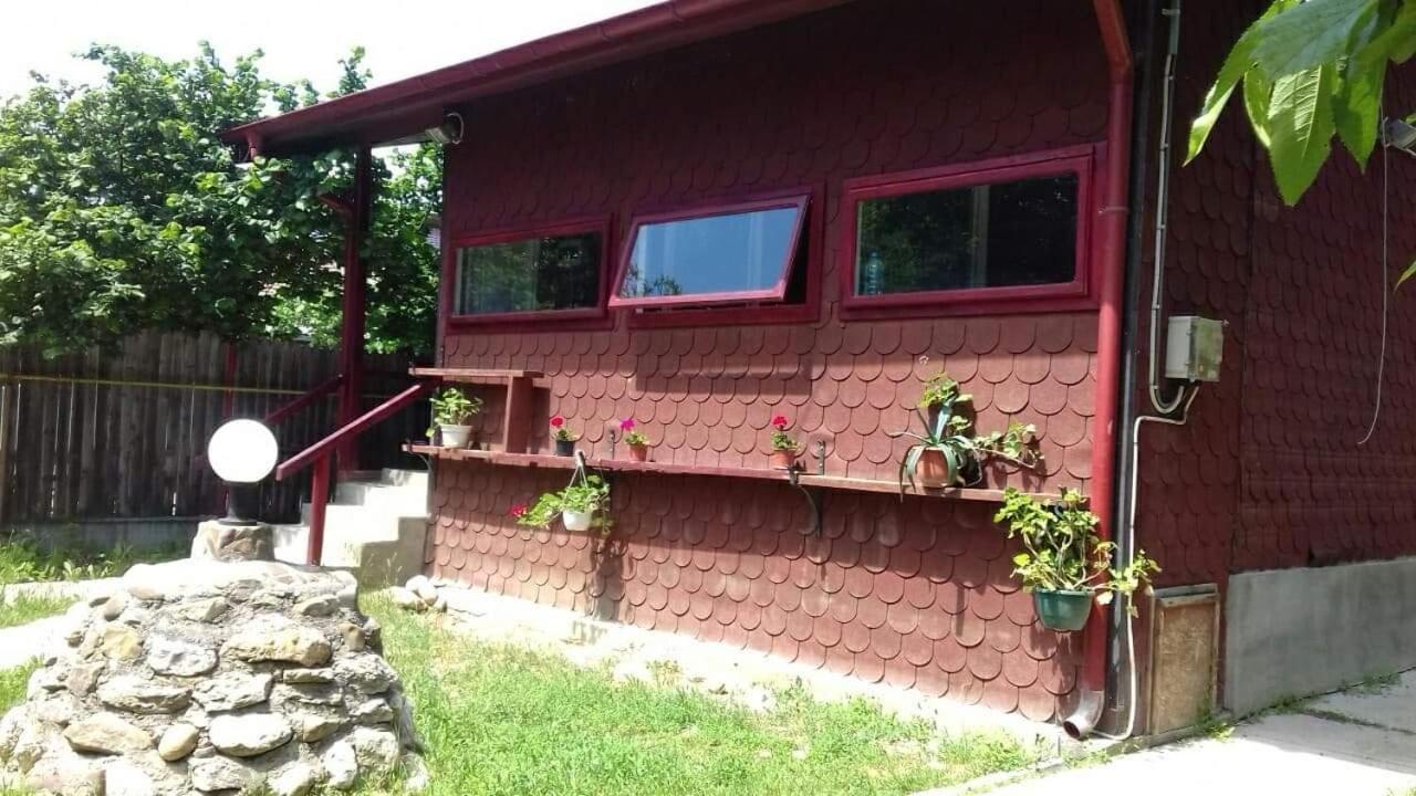 Canadian House Sarata-Monteoru Exterior photo